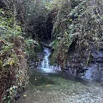 Hamlet Of Meyrieres Farm In Cevennes Feriehus