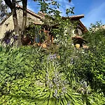 Hamlet Of Meyrieres Farm In Cevennes *