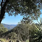 Hamlet Of Meyrieres Farm In Cevennes *