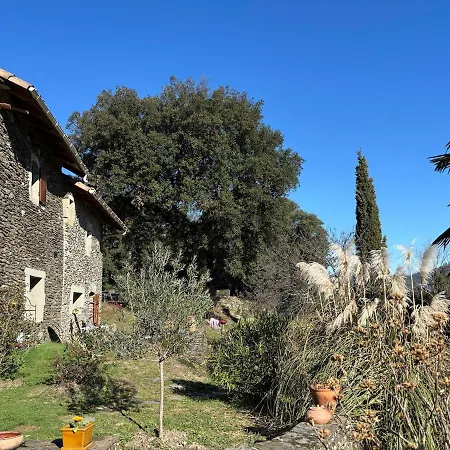 Hamlet Of Meyrieres Farm In Cevennes *