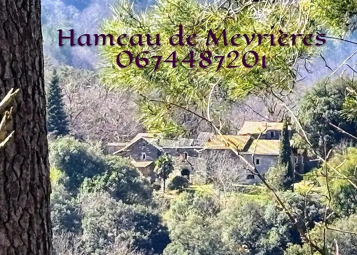 Hébergement de vacances Hamlet Of Meyrieres Farm In Cevennes *