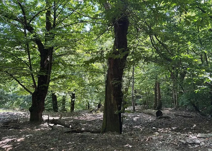 Hébergement de vacances Hamlet Of Meyrieres Farm In Cevennes